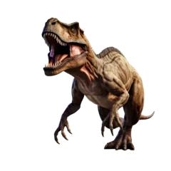 Wandcirkels plexiglas t rex dinosaur © I LOVE PNG
