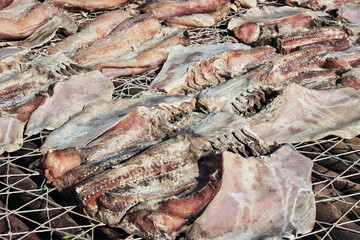 Dry fish in the village on Casamance river, Ziguinchor Region, Senegal, West Africa