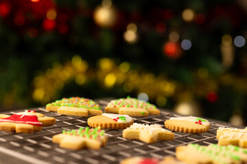 Close up of decorated christmas cookies with copy space on black background
