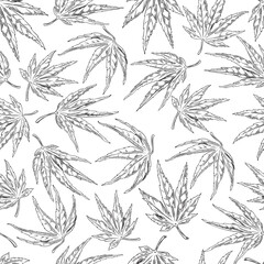 Maple leaves engraved hand drawn vector seamless pattern, season japanese maple foliage, floral black contour sketch
