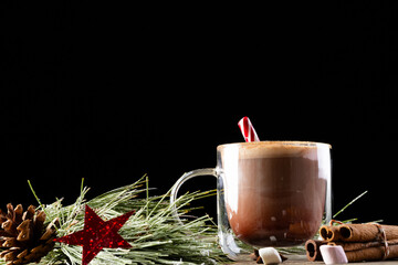 Vertical image of glass mug of chocolate and marshmallows and christmas decorations with copy space