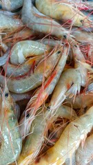 Close Up Of Fresh Prawns From Top View