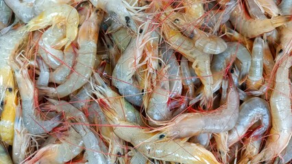 Fresh Prawns Raw Prawns Gambas Seafood Snack Food On Table Copy Background