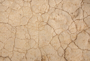 A close-up of a dry, arid soil