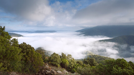 Village de Cogolin dans la brume, Golfe de St Tropez, Var, France