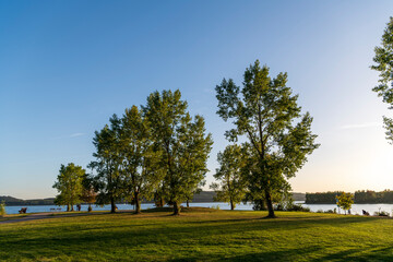 trees at the lake in fall