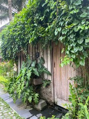 old house in the garden at the sunny day