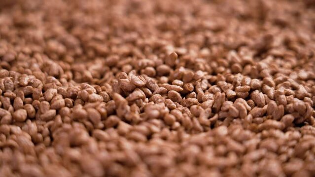 Sweet crispy corn chocolate cereal flakes falling in slow motion close up. Healthy nutritious food. Rotation