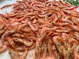 Fresh shrimps scampi or prawns at fish market stall in on ice for sale. Street seafood. Variety of fresh seafood. Supermarket seafood department