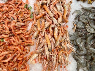 Fresh shrimps scampi or prawns at fish market stall in on ice for sale. Street seafood. Variety of fresh seafood. Supermarket seafood department