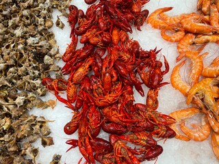 Seafood supermarket stand with a variety of seafood for sale. Scampi, shripms. prawns, shells on the ice