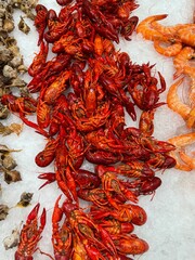 Seafood supermarket stand with a variety of seafood for sale. Scampi, shripms. prawns, shells on the ice