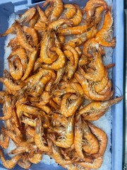 Fresh shrimps scampi or prawns at fish market stall in on ice for sale. Street seafood. Variety of fresh seafood. Supermarket seafood department