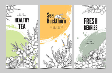 Fototapeta na wymiar Sea-buckthorn berries tea and food labels hand drawn sketch vector illustration.