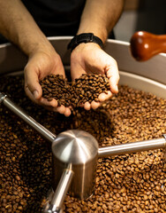 coffee beans in a hand over coffee roaster.