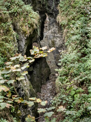 Image from Cheile Oltetului gorge, Polovragi, Gorj, Romania