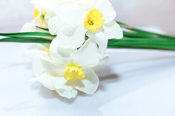 Naklejka na ściany i meble Bouquet of white daffodils