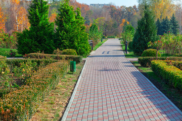 Pathway in the park with colorful autumn trees