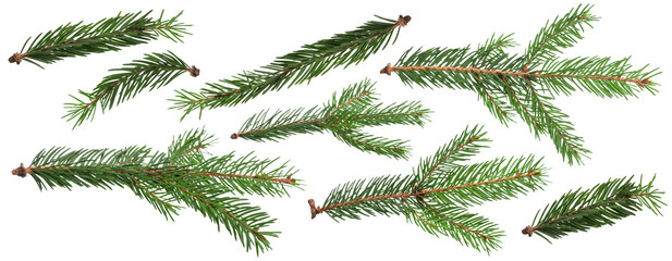 Christmas Fir branch isolated png transparent. christmas tree. Christmas green spruce branch....