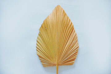 Tropical dry palm leaf on white background. dry palm leaves for interior decoration. Flat lay, Top...