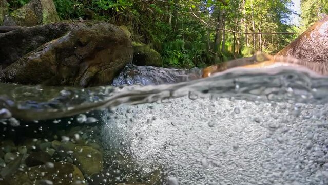 Purest water with bubbles in alpine river. Half underwater slow motion shot of river in green forest and mountains. Stream with small waterfalls between stones