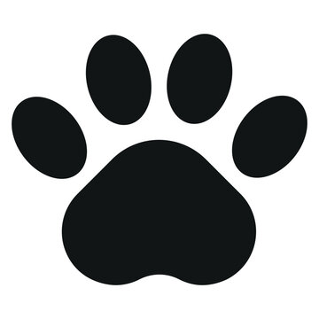 Dog Paw Icon