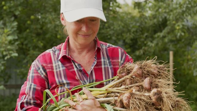 Satisfied woman farmer with armful of garlic harvest.