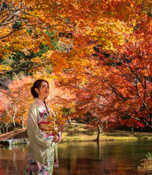 portrait of young asian girl traveller in traditional kimino dress standing holding meple leavse in the autumn leaves season at the public park in japan,