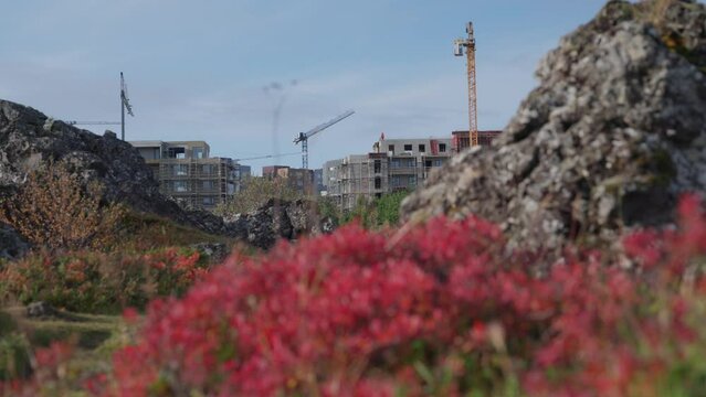 Autumn colors in late September. Houses buing built in the background.