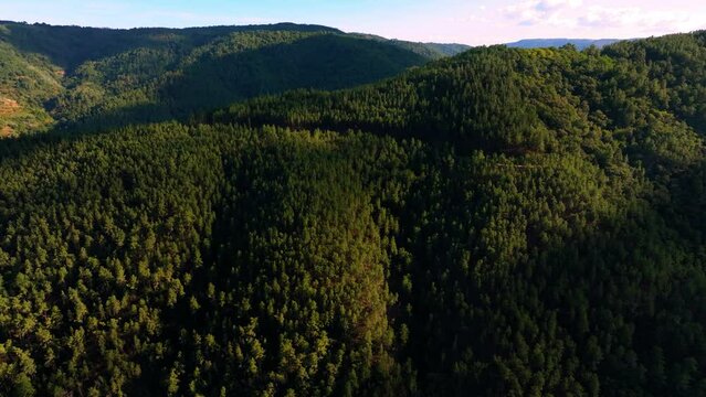 Mountains Covered With Densely Forests In Ribeira Sacra Near Belesar, Galicia, Spain. Aerial Shot
