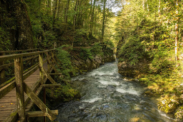 A wooden walkway next to the Kamacnik River in Kamacnik Kanjon, Primorje-Gorski Kotar County, north west Croatia. August