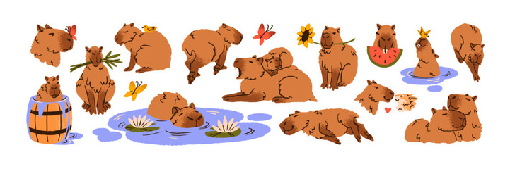 Funny capibaras set. Cute capybaras family with baby cuddle, rest, lying, sleep. Fluffy animals bathing in barrel, swimming, relax in water. Wild nature. Flat isolated vector illustration on white