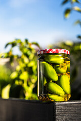 Eingelegte grüne Paprika in einem Einmachglas im Garten. Herbst, konservieren, Gemüse.
