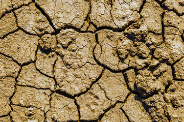Background of the cracked dry barren soil. Global warming concept