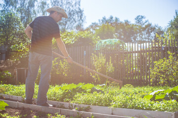 Farmer cultivating land in the garden with hand tools. Soil loosening. Gardening concept....