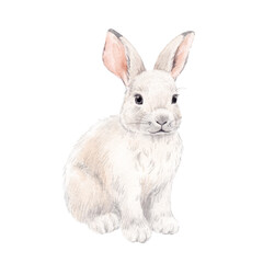 Beautiful stock illustration with hand drawn watercolor wild white rabbit animal.