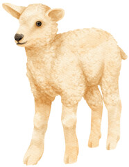 Baby Sheep watercolor farm animals