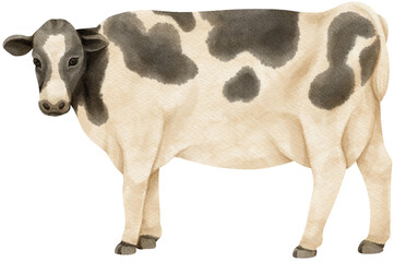  Cow watercolor farm animals
