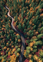 Aerial top view of a winding asphalt road in the autumn forest in sunset time. 3d rendering.