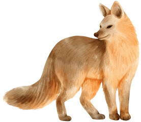 Fox wildlife animals watercolor illustration
