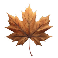 Obraz premium Autumn maple leaf. Generative AI