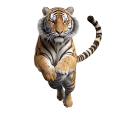 Fototapete Rund Tiger jumping in the air © Digital Dreams