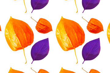 Physalis, Chinese lantern plant, autumn mood, pattern, isolated on a white background