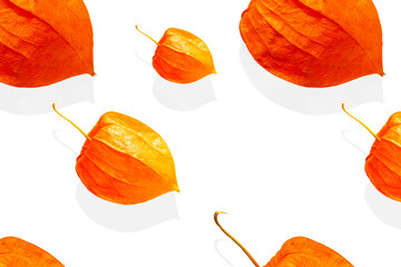 Physalis, Chinese lantern plant, autumn mood, pattern, isolated on a white background