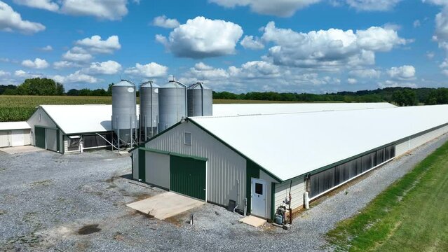 Chicken barns on an American farm on beautiful summer afternoon. Aerial orbit. USA animal farming and agricultural theme.