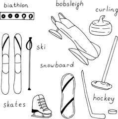 Set of winter sports, vector illustration