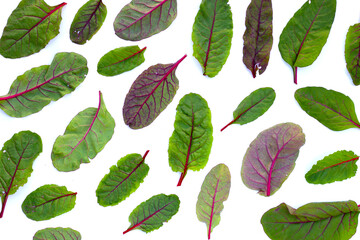 Swiss chard on white background. Baby leaf swiss chard