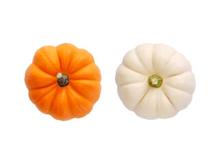 Two fresh orange and white colored miniature pumpkins isolated. Top view.