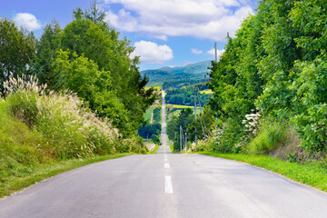 夏の北海道美瑛・富良野　ジェットコースターの道