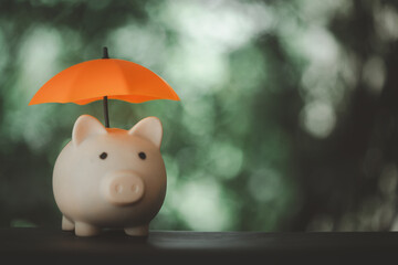 Piggy bank with umbrella. Financial insurance and protection against nature background